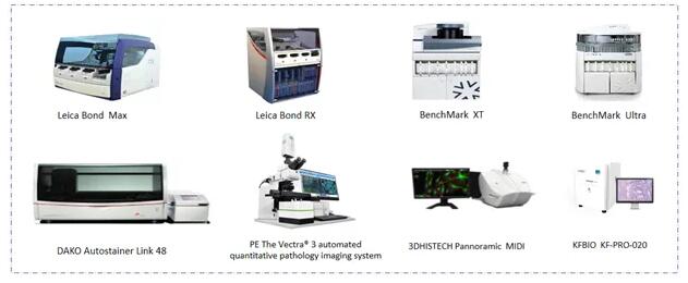 迈杰转化医学病理平台部分仪器展示